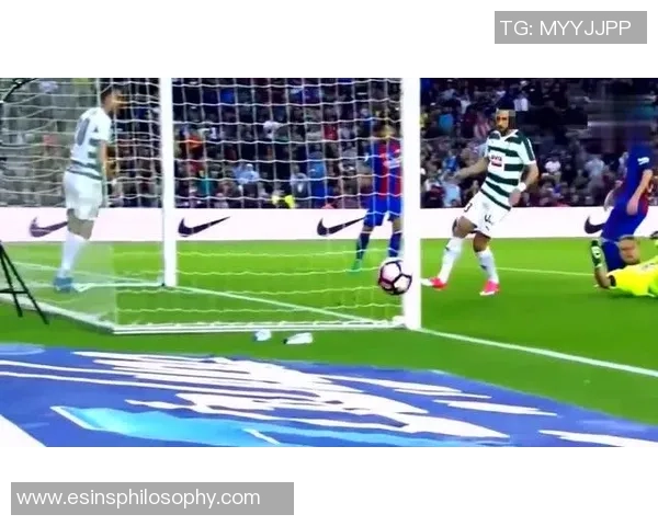 成都排球队球员个人能力深度对比与分析探讨